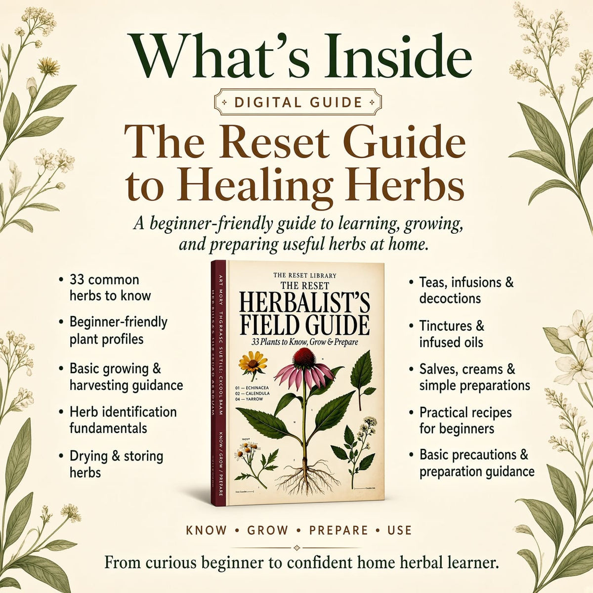 The Reset Guide to Healing Herbs