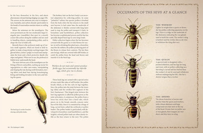 The Reset Honey & Hive Handbook VIP